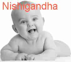 baby Nishigandha